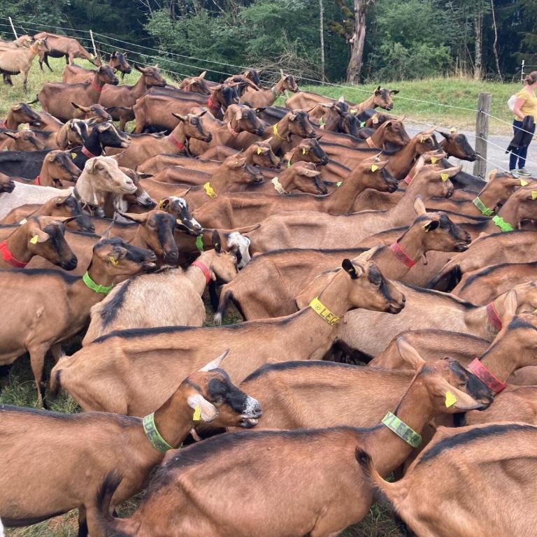 Le pied des pistes, studio 5 pers, balcon sud est, vue sur les montagnes - Appartement 1 Chambre - 16