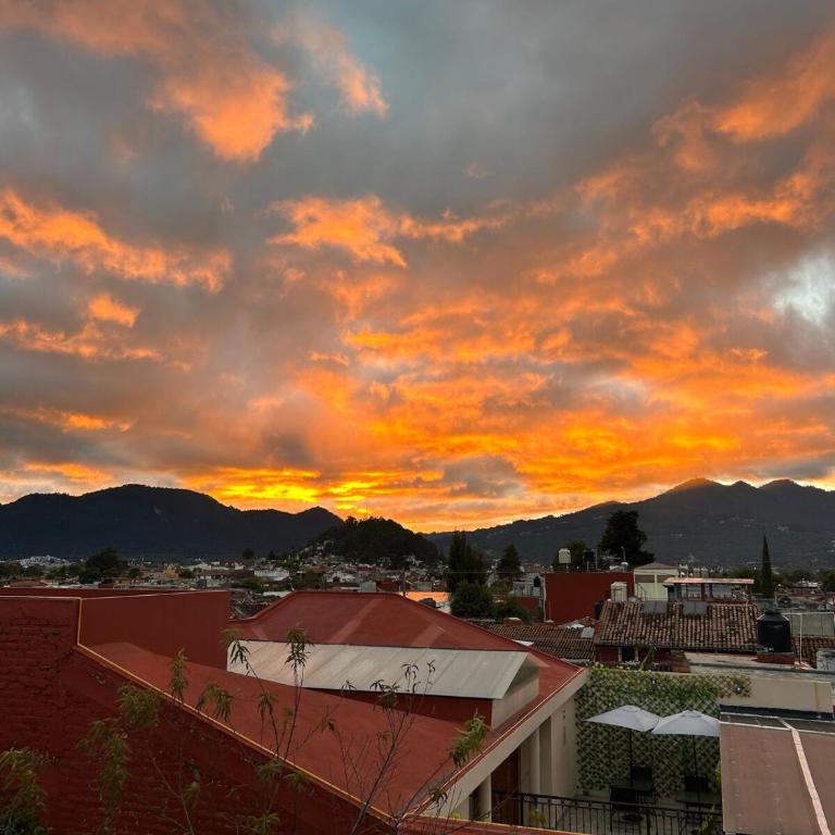 Cozy home, walking distance San Cristobal - One-Bedroom House - 15