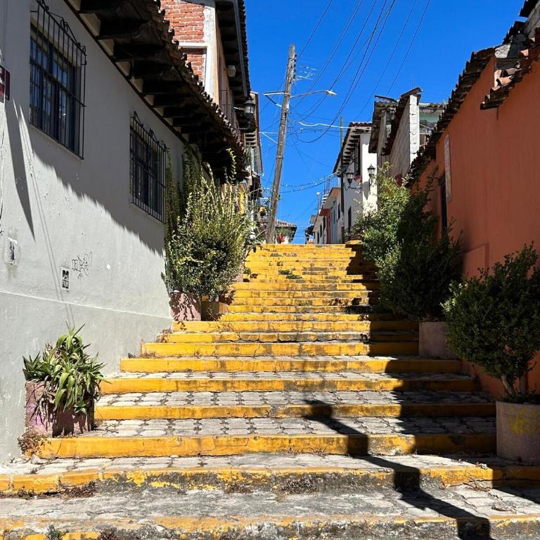 Cozy home, walking distance San Cristobal - One-Bedroom House - 22