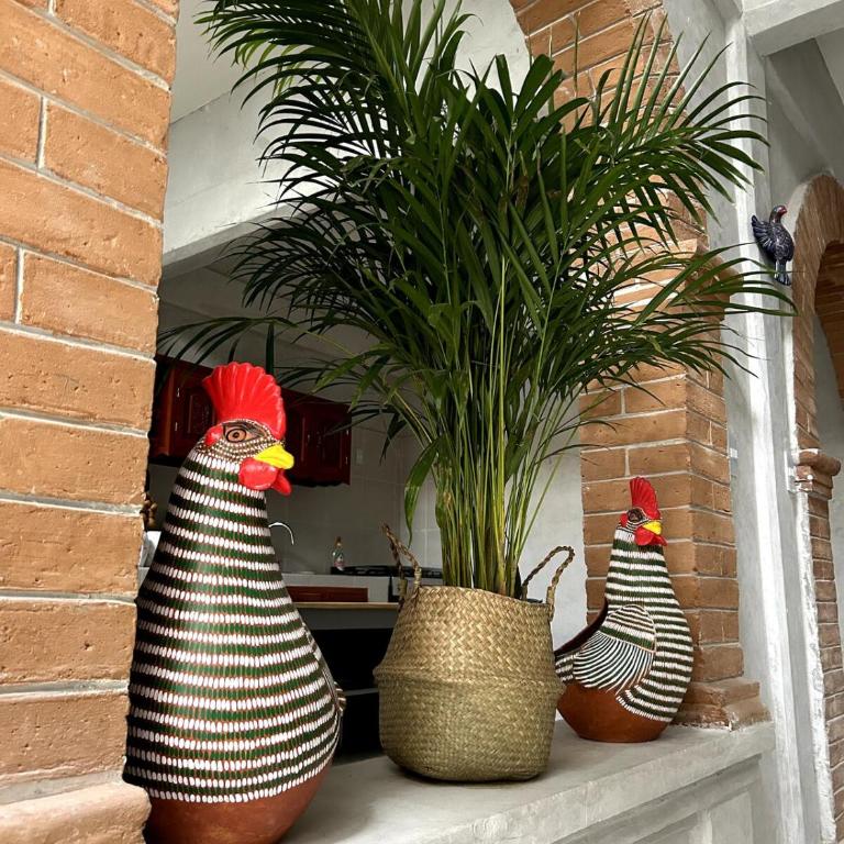 Cozy home, walking distance San Cristobal - One-Bedroom House - 44