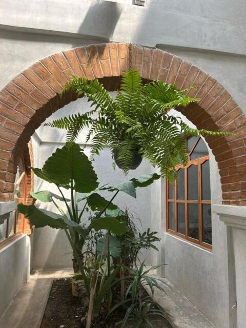 Cozy home, walking distance San Cristobal - One-Bedroom House - 54