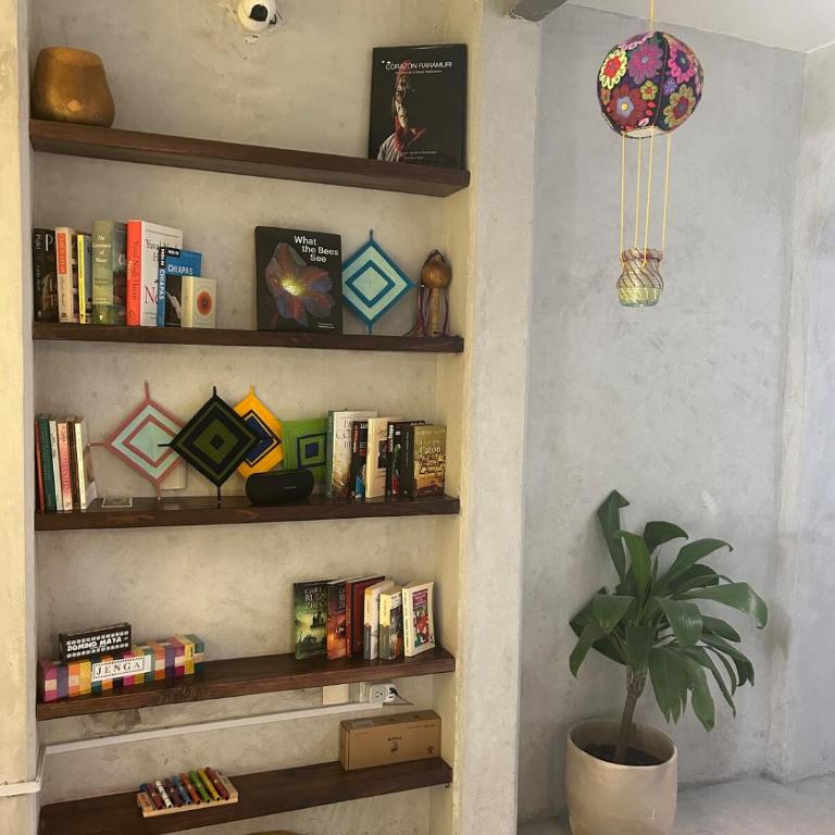 Cozy home, walking distance San Cristobal - One-Bedroom House - 62