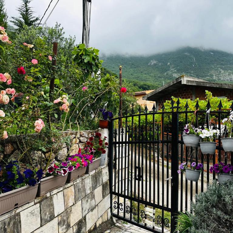 MorePlanina - Two-Bedroom Apartment - 36