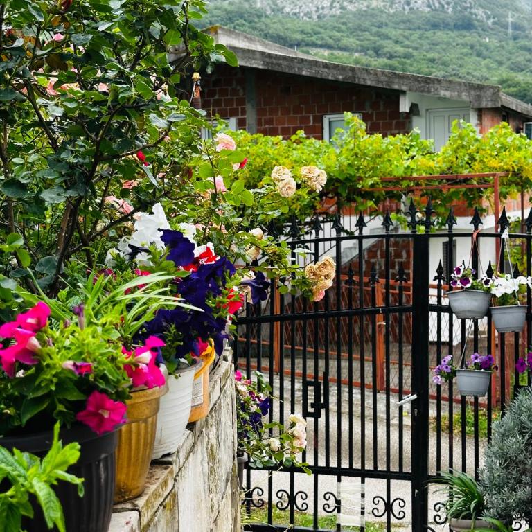 MorePlanina - Two-Bedroom Apartment - 32