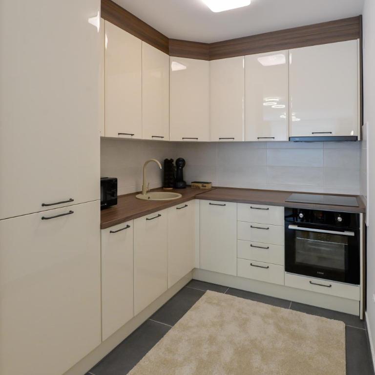 Amazon Royale Apartment - One-Bedroom Apartment with Terrace - 5