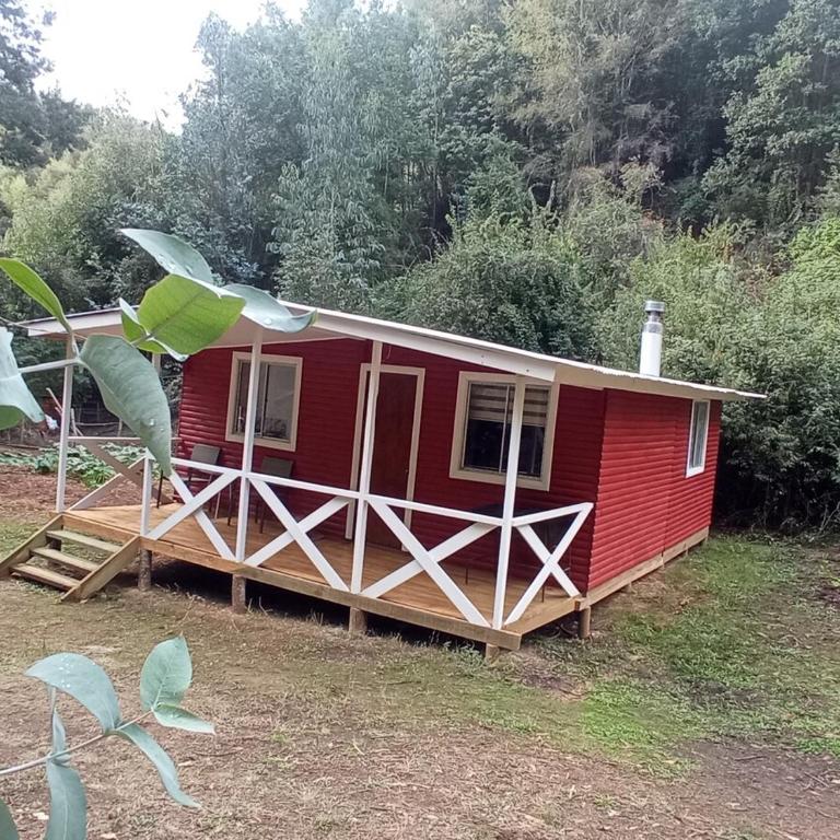 Cabaña Santa Galoriza Sector rural La Calle Hualqui - Casa de 2 dormitorios - 11