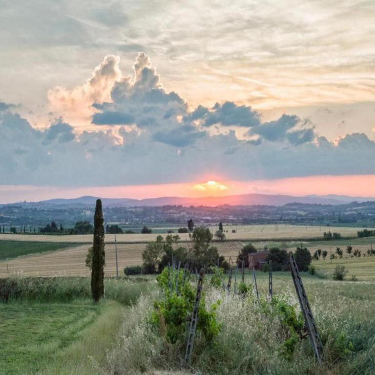Country Charm near Cortona - Casa Vacanze con 4 Camere da Letto - 30