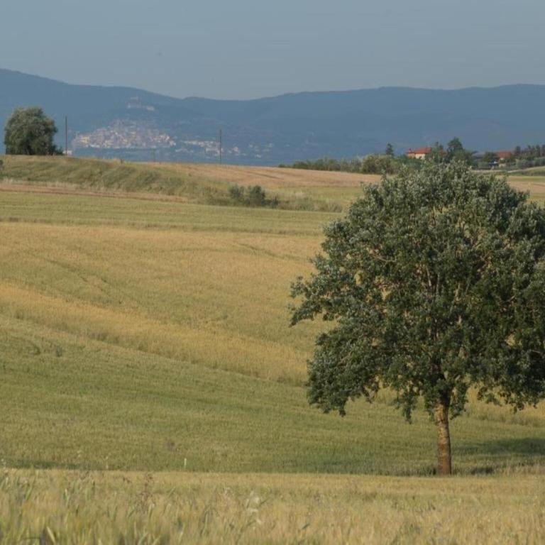 Country Charm near Cortona - Casa Vacanze con 4 Camere da Letto - 21