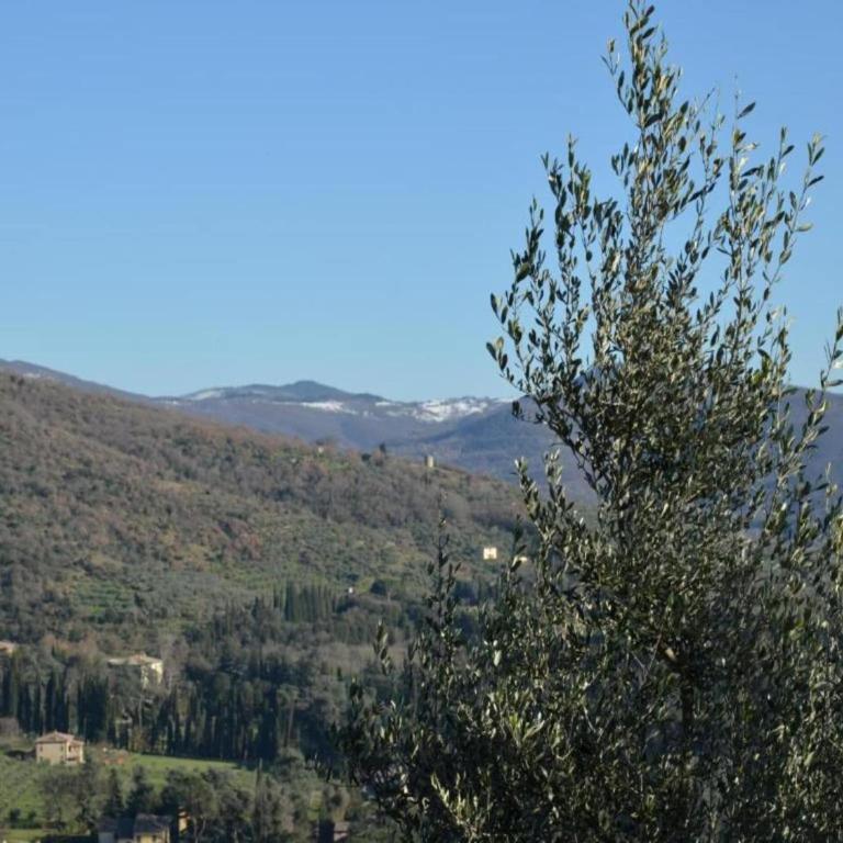 Holiday home in Cortona - Casa Vacanze con 2 Camere da Letto - 36