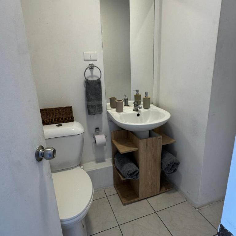 Lindo departamento, muy cerca del Movistar Arena, con 2 estaciones del metro cerca, parking de reserva interior - Apartamento de 1 dormitorio - 20