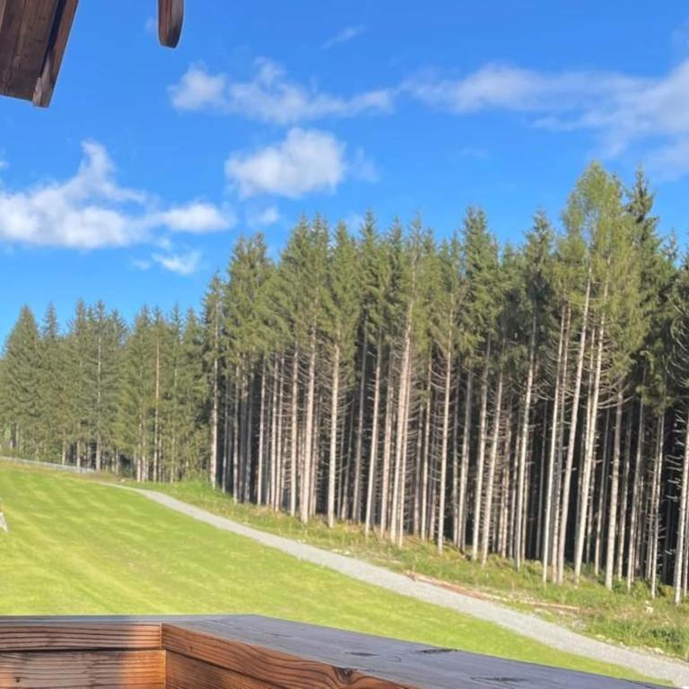 Chalet in Neukirchen near Ski Lift - Chalet mit 3 Schlafzimmern - 45