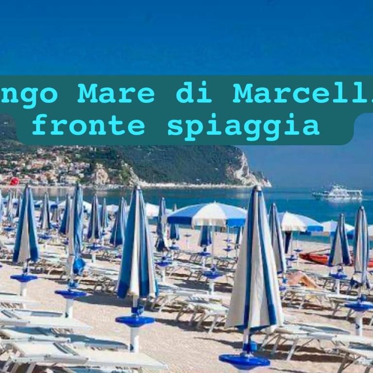 Conero Casa - Marcelli di Numana Fronte mare in Via Litoranea 178 bis con parcheggio esclusivo - Appartamento con 2 Camere da Letto - 1