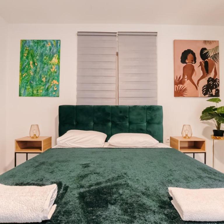 Luxury Apartments Mostar - Two-Bedroom Apartment with Balcony - 39