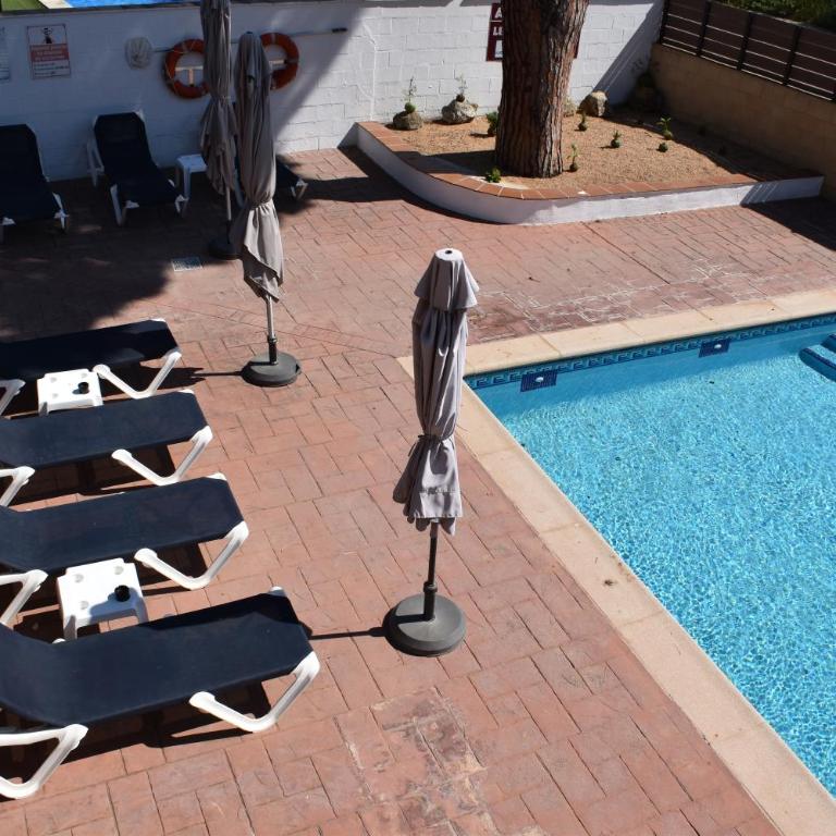Apartamentos Les Palmeres - Apartamento de 2 dormitorios con vistas a la piscina y balcón (4 adultos) - 8