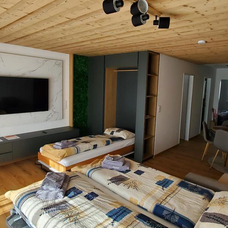 Luxuse Ferienwohnung Flüe 11 - Apartamento de 1 dormitorio - 41