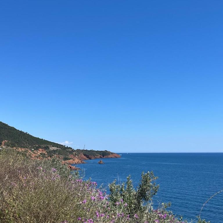 Beach, sun, air conditioning and parking in Agay! - Estudio Superior - 32