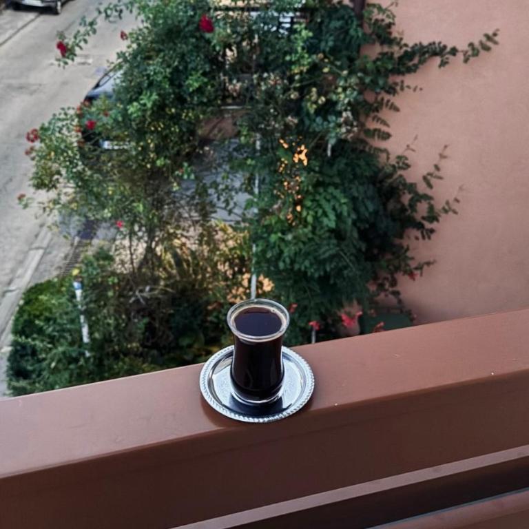 Apartment Alma - Standard Apartman sa Dve Spavaće Sobe - 33