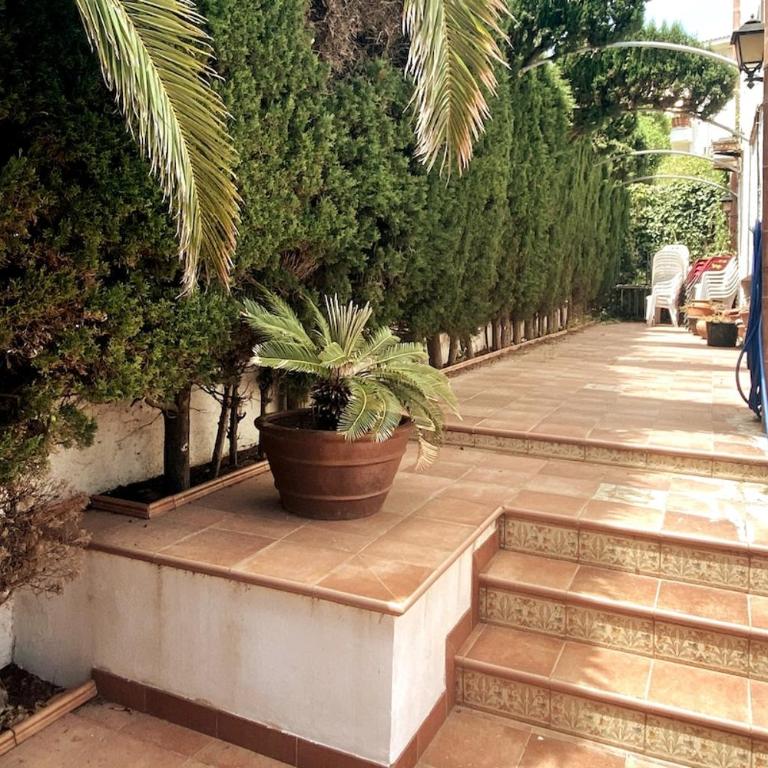 Casascostadorada Ametlla de Mar casa primera línea - Casa de 3 dormitorios - 25