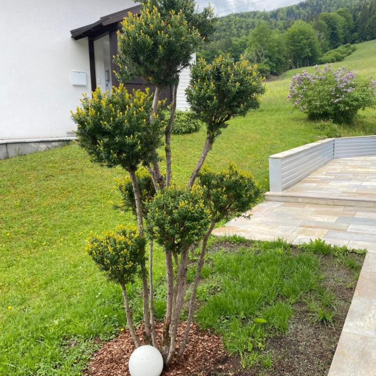 Appartement Bergblick II - MODERN LIVING - Appartement 2 Chambres avec Terrasse - 15