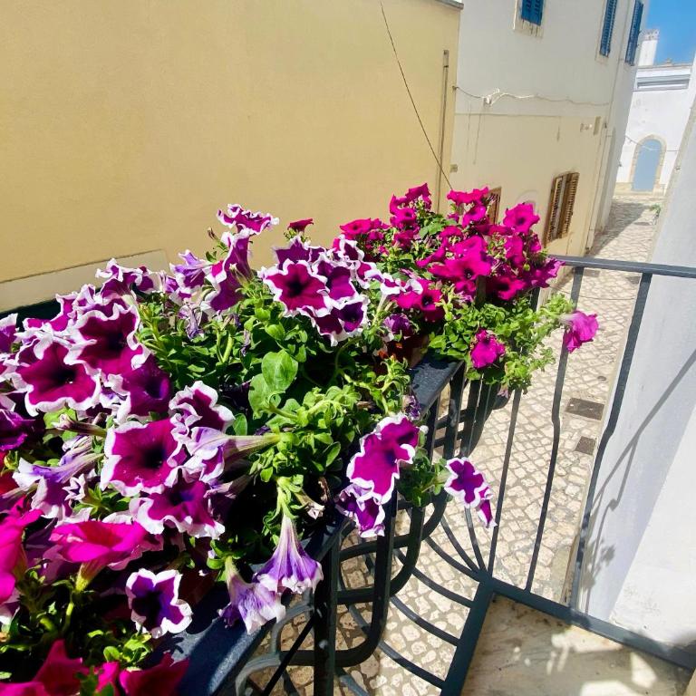 Dimora del Sole Luxury and charm apartment - Appartamento con 2 Camere da Letto - 16