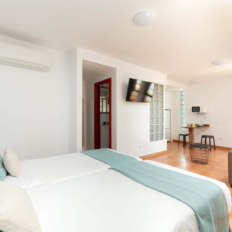 Apartamentos La Cebada - Apartamento Estudio con balcón - 1