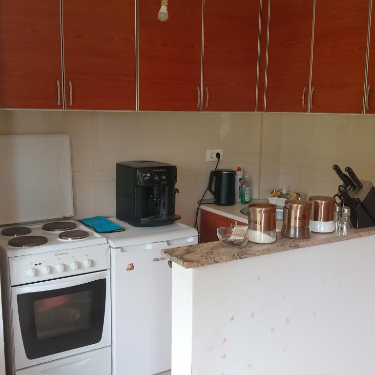 Vila Teodora - One-Bedroom Apartment - 4