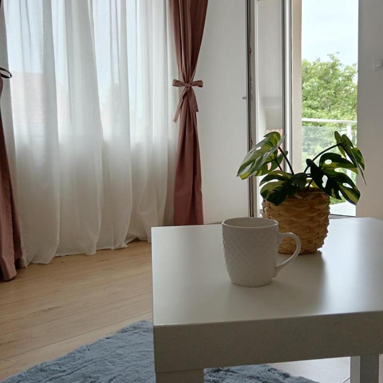 Apartmani Kale - Apartman sa 1 Spavaćom Sobom - 1