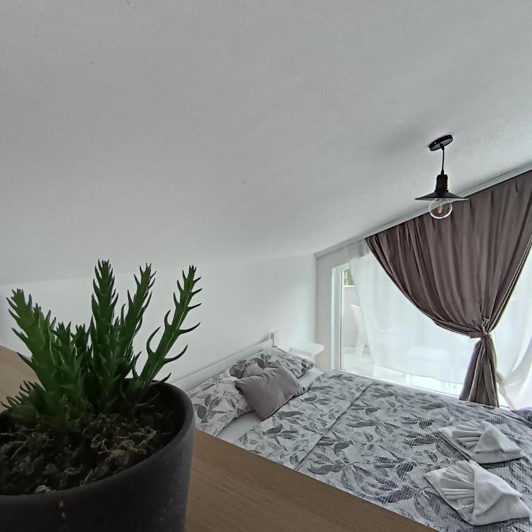 Apartmani Kale - Studio sa Balkonom - 5