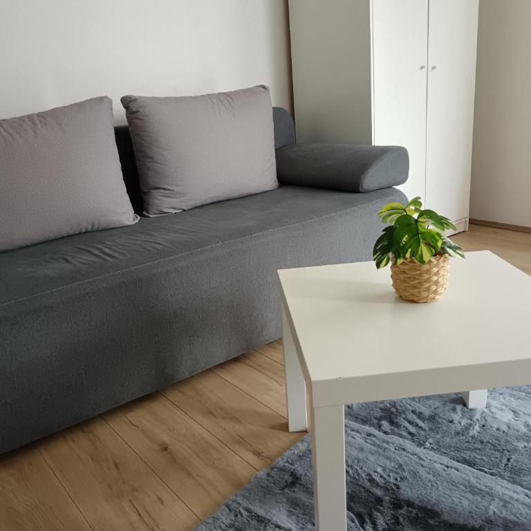 Apartmani Kale - Apartman sa 1 Spavaćom Sobom - 6