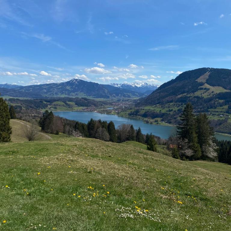 FeWo im Ferienpark Oberallgäu mit großem Pool, Bettwäsche, Handtücher, Endreinigung, Kurtaxe inklusive - Apartment mit 1 Schlafzimmer - 16