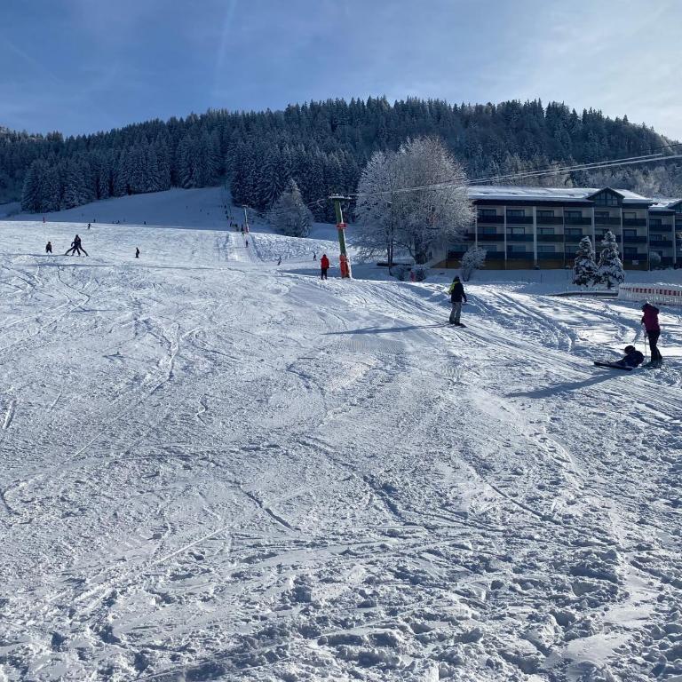 FeWo im Ferienpark Oberallgäu mit großem Pool, Bettwäsche, Handtücher, Endreinigung, Kurtaxe inklusive - Apartment mit 1 Schlafzimmer - 17