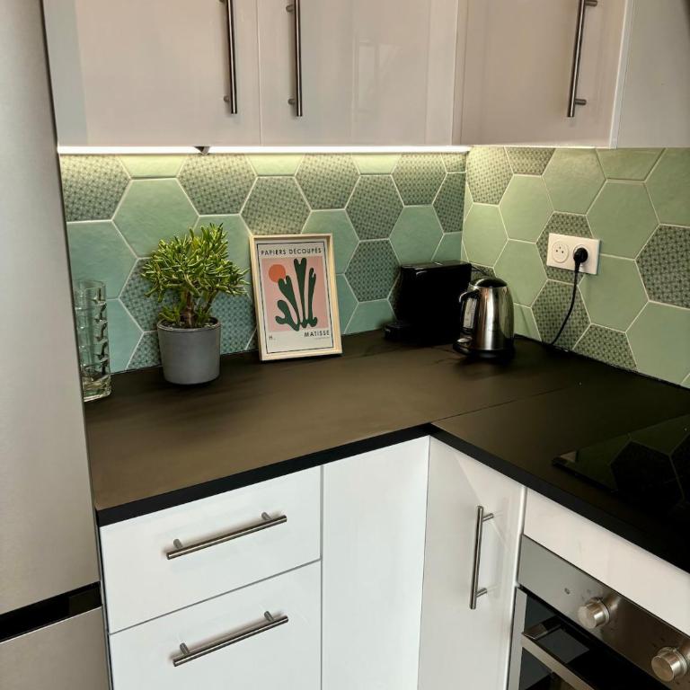 Lucky luke appartment - Apartamento de 2 dormitorios - 21