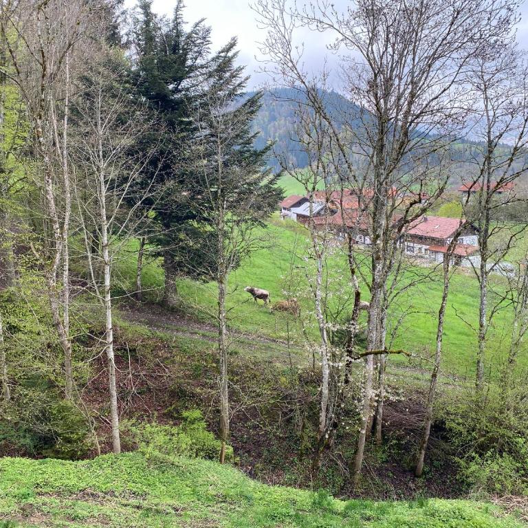 FeWo im Ferienpark Oberallgäu mit großem Pool, Bettwäsche, Handtücher, Endreinigung, Kurtaxe inklusive - Apartment mit 1 Schlafzimmer - 6