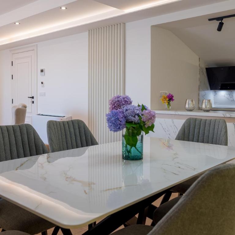 Luxury Apartments Ivanovic - Penthaus Apartman - 11