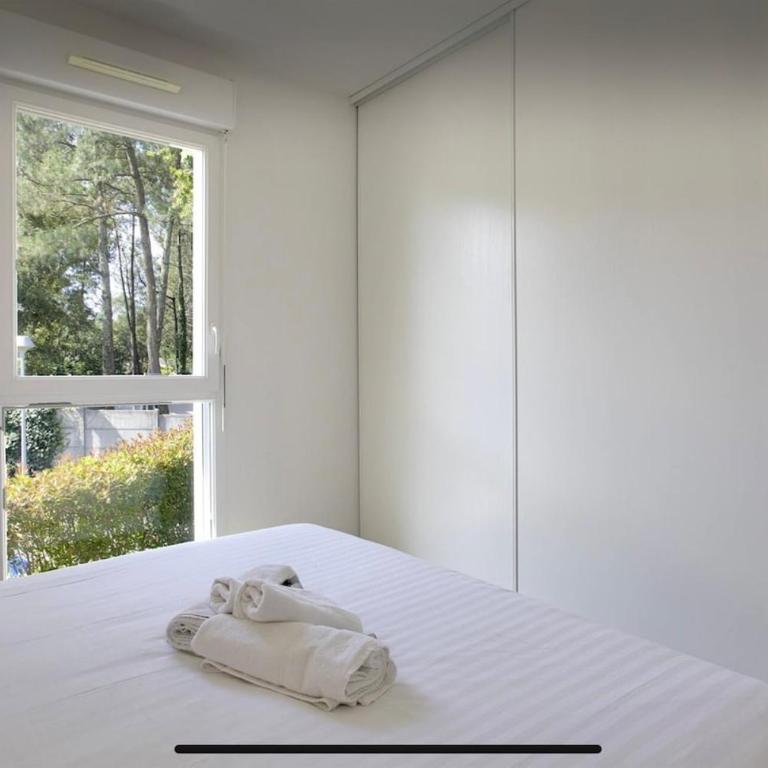 Appartement Lumineux et Calme - Apartamento de 1 dormitorio - 11