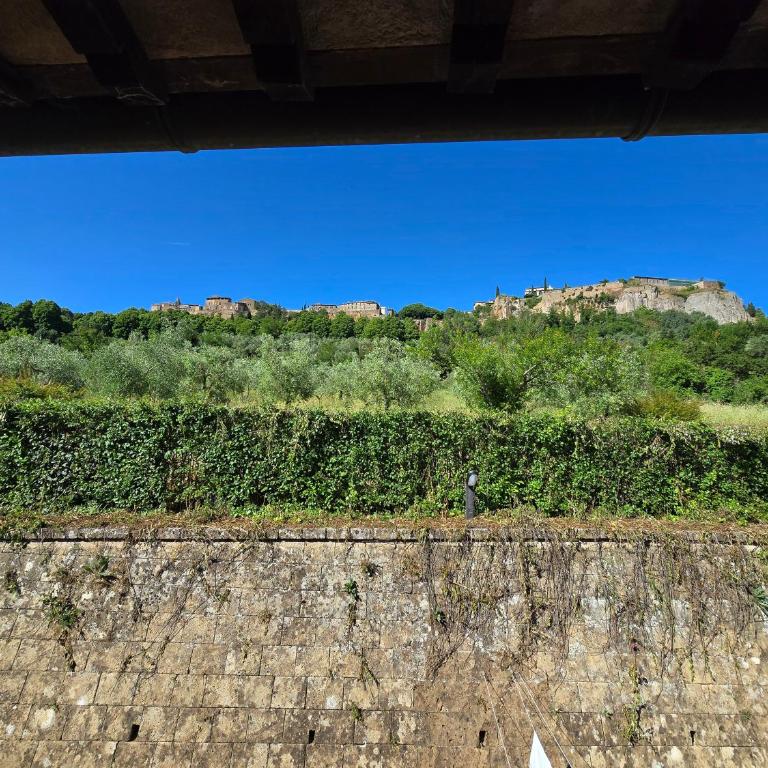 Il sogno umbro - Camera King con Vista Giardino - 37