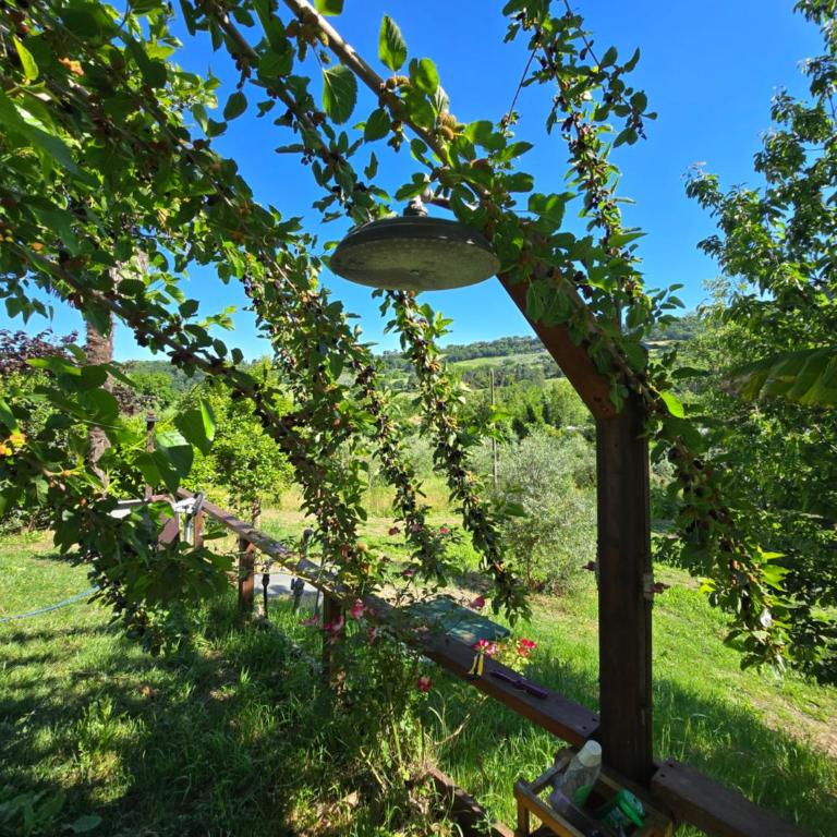 Il sogno umbro - Camera King con Vista Giardino - 35