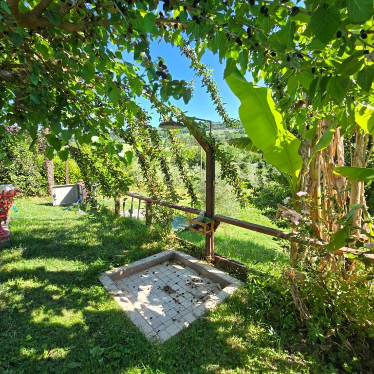 Il sogno umbro - Camera King con Vista Giardino - 34
