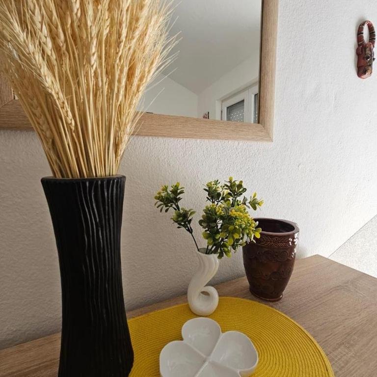 Vila Lučica apartman 2 pogled planina - One-Bedroom Apartment - 6