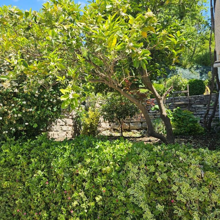 Vila Lučica apartman 2 pogled planina - One-Bedroom Apartment - 19