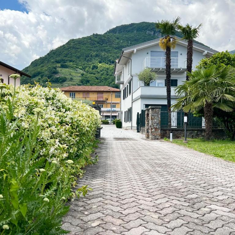 CASA MIMOSA The Green View Apartment - Appartamento Superior - 8