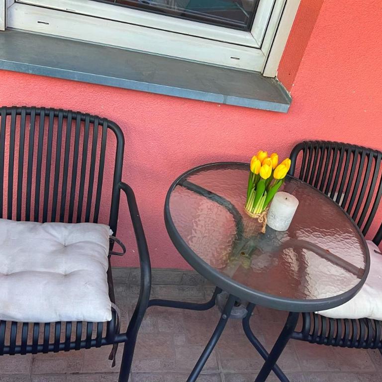 Detelinara - Apartman sa 1 Spavaćom Sobom - 16