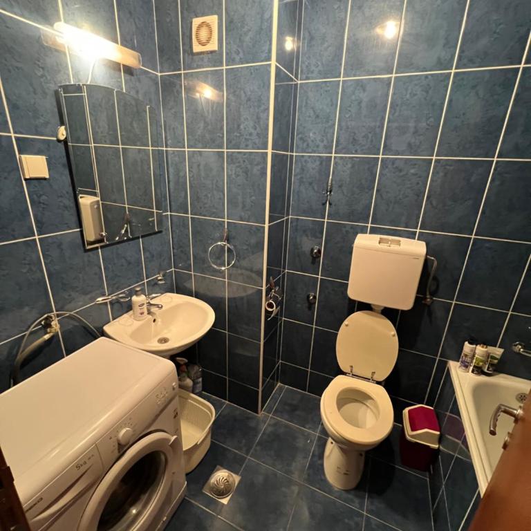 Detelinara - Apartman sa 1 Spavaćom Sobom - 13