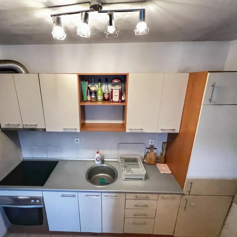Detelinara - Apartman sa 1 Spavaćom Sobom - 4