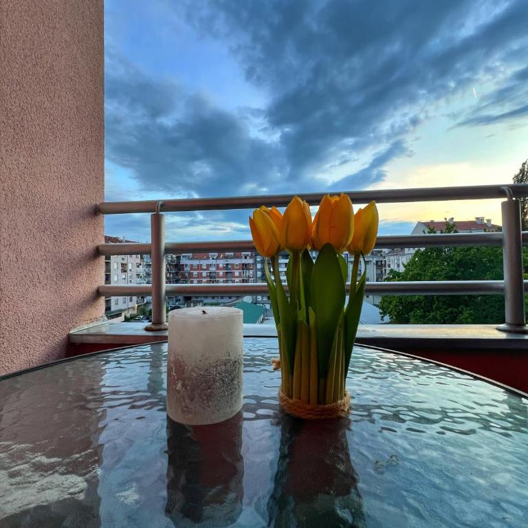 Detelinara - Apartman sa 1 Spavaćom Sobom - 17