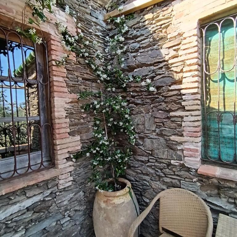 Isla Privada en Cadaqués de ensueño con 11 habitaciones dobles con baño privado y piscina - Villa - 57
