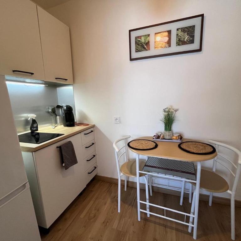 Studio proche promenade des anglais - Studio - 13