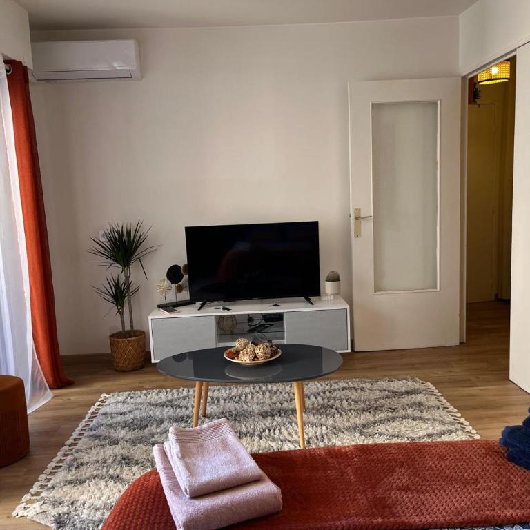Studio proche promenade des anglais - Studio - 15