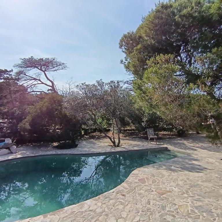 Isla Privada en Cadaqués de ensueño con 11 habitaciones dobles con baño privado y piscina - Villa - 49