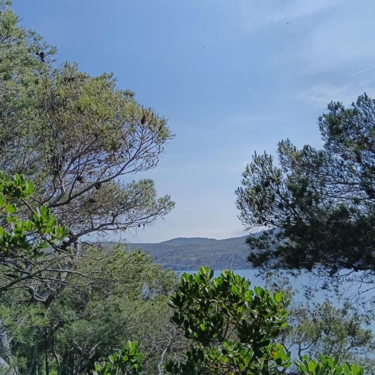 Isla Privada en Cadaqués de ensueño con 11 habitaciones dobles con baño privado y piscina - Villa - 47